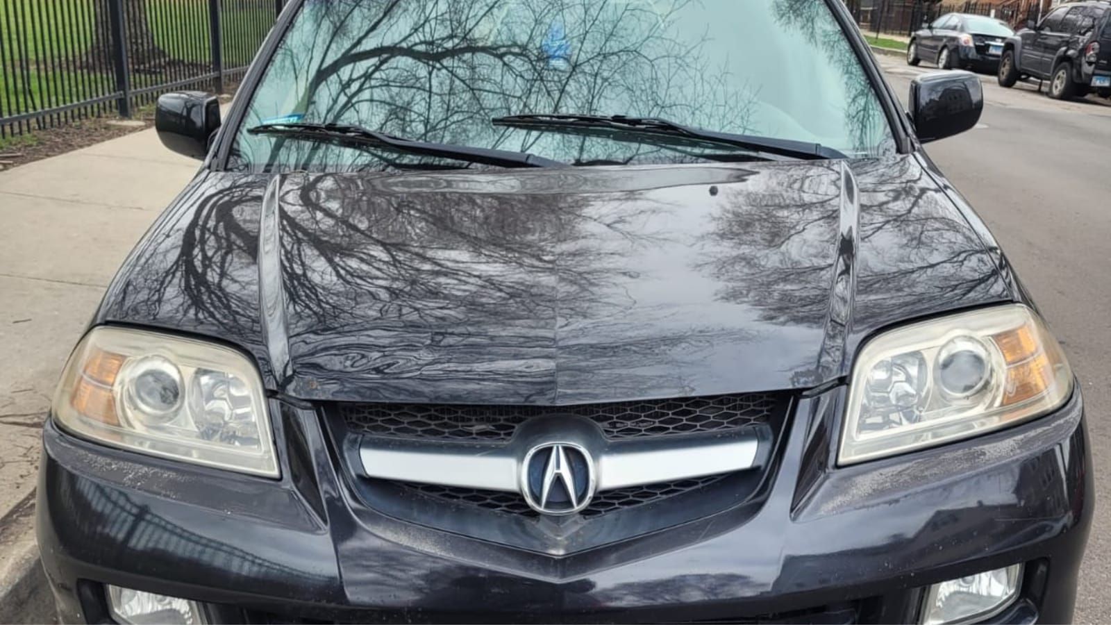 Black Acura MDX parked at a city curb with bare tree branches reflected in its hood